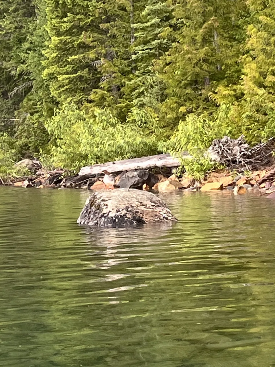 Lake McDonald, in Flathead County, Montana — July 8, 2026