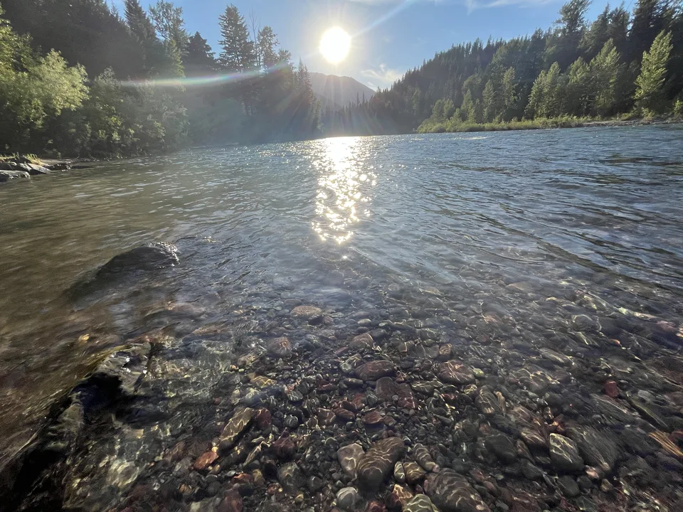 Flathead County, Montana — July 7, 2026