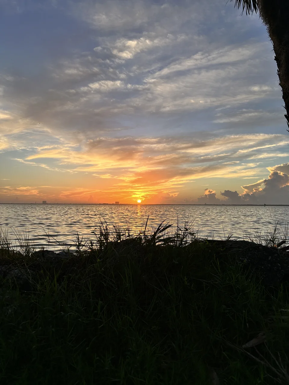 Atlantic Coast Transit — August 9, 2026 field photograph