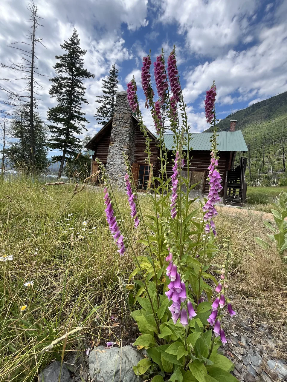 Lake McDonald, in Flathead County, Montana — July 8, 2026