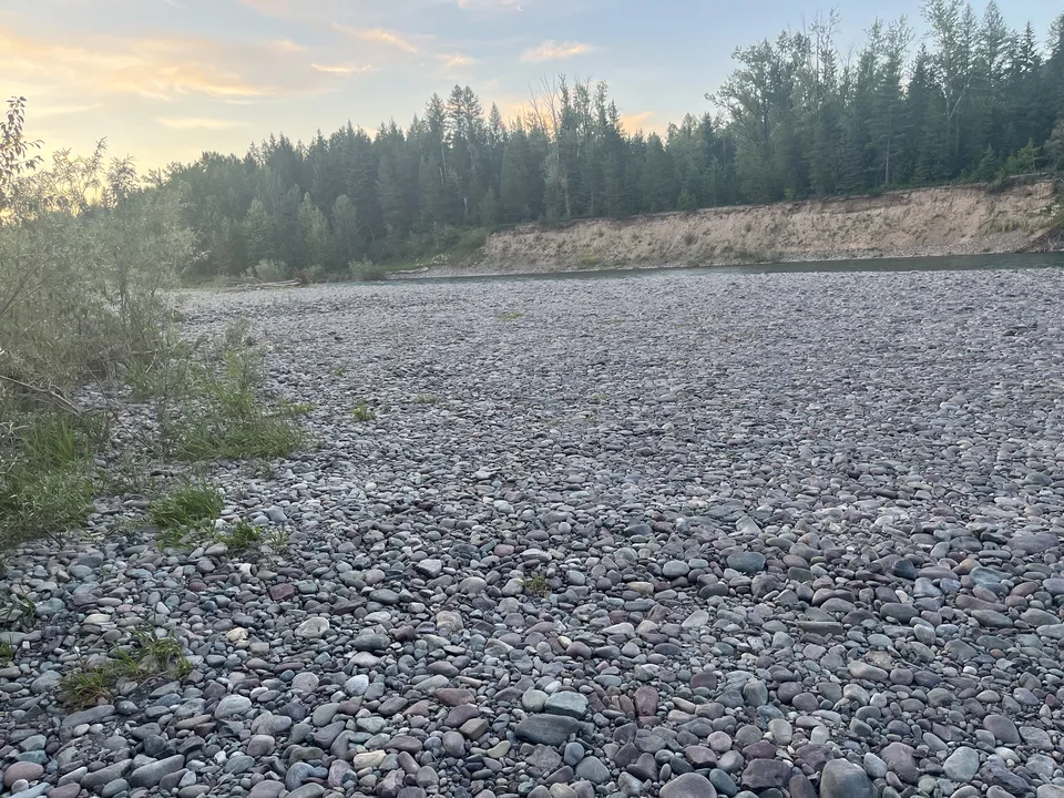 Near Columbia Falls, Montana — July 7, 2026