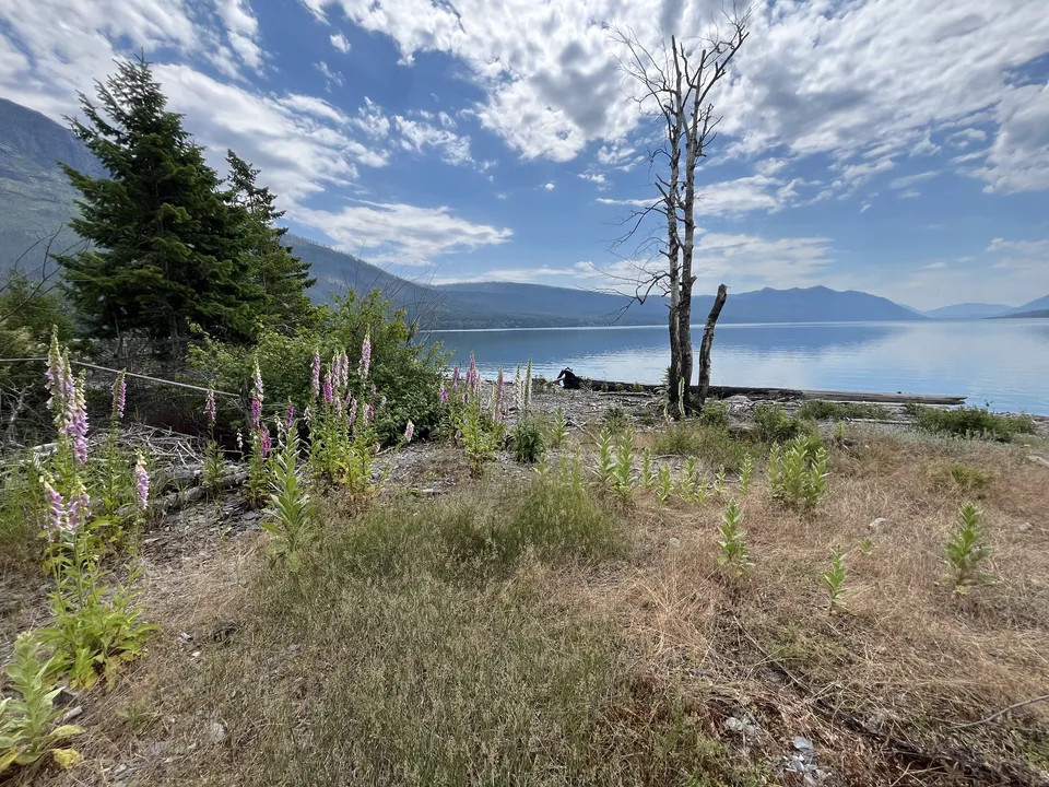 Lake McDonald, in Flathead County, Montana — July 8, 2026