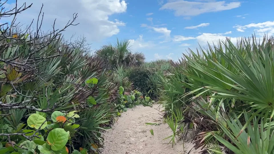 Near Grant-Valkaria, Florida — August 9, 2026
