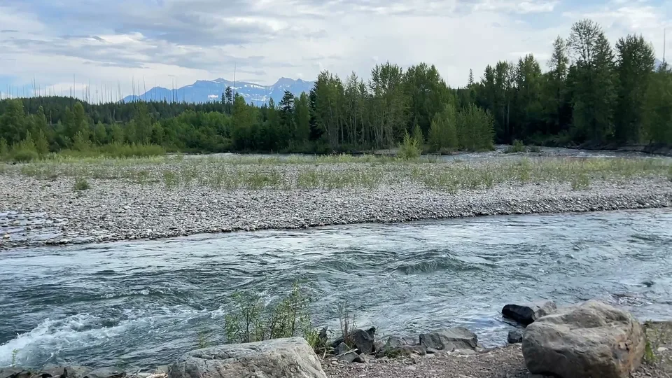 Flathead County, Montana — July 8, 2026