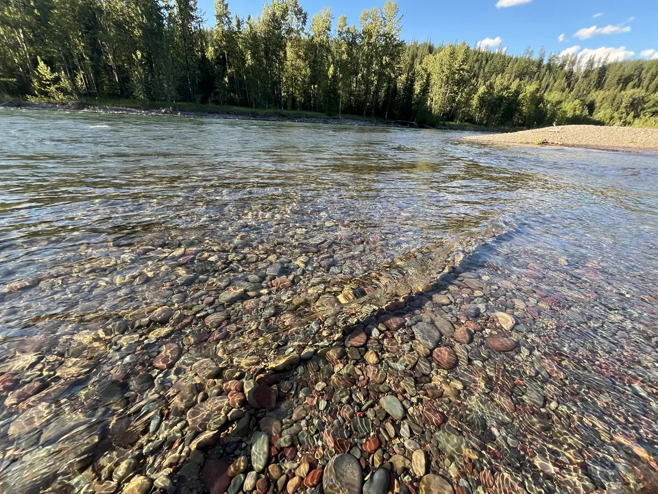 Flathead County, Montana — July 7, 2026