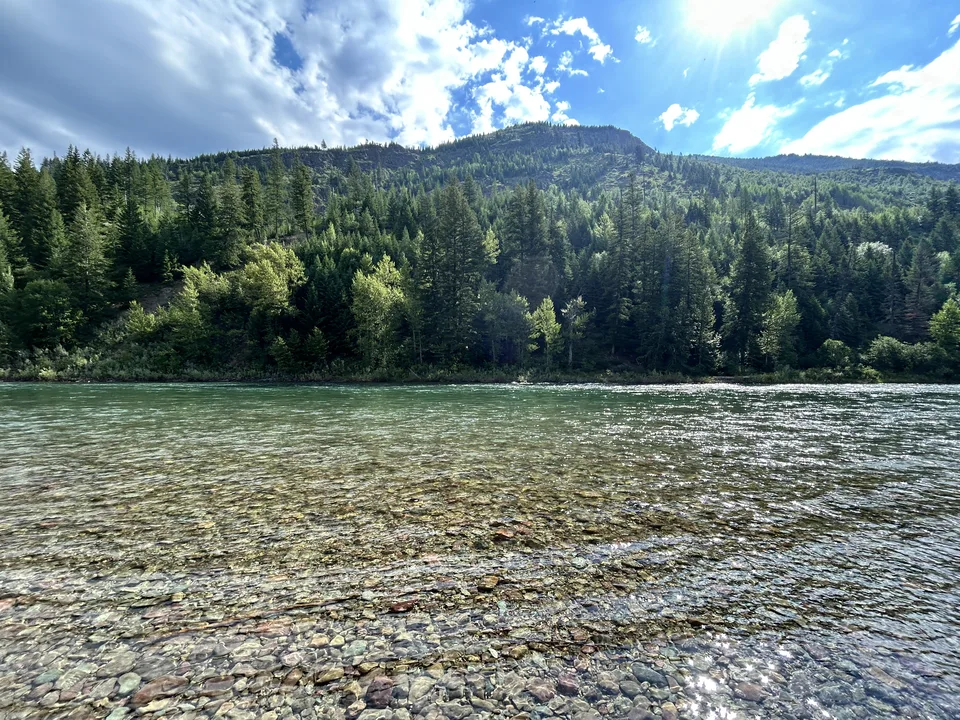 Flathead River, near Whitefish, Montana — July 8, 2026