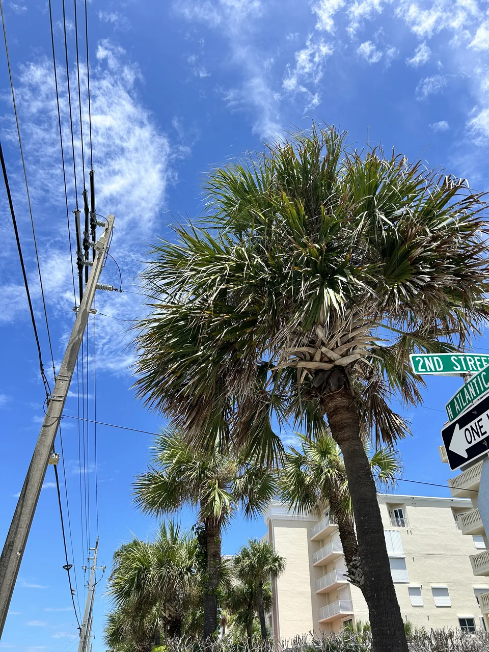 Cocoa Beach, Florida — August 9, 2026