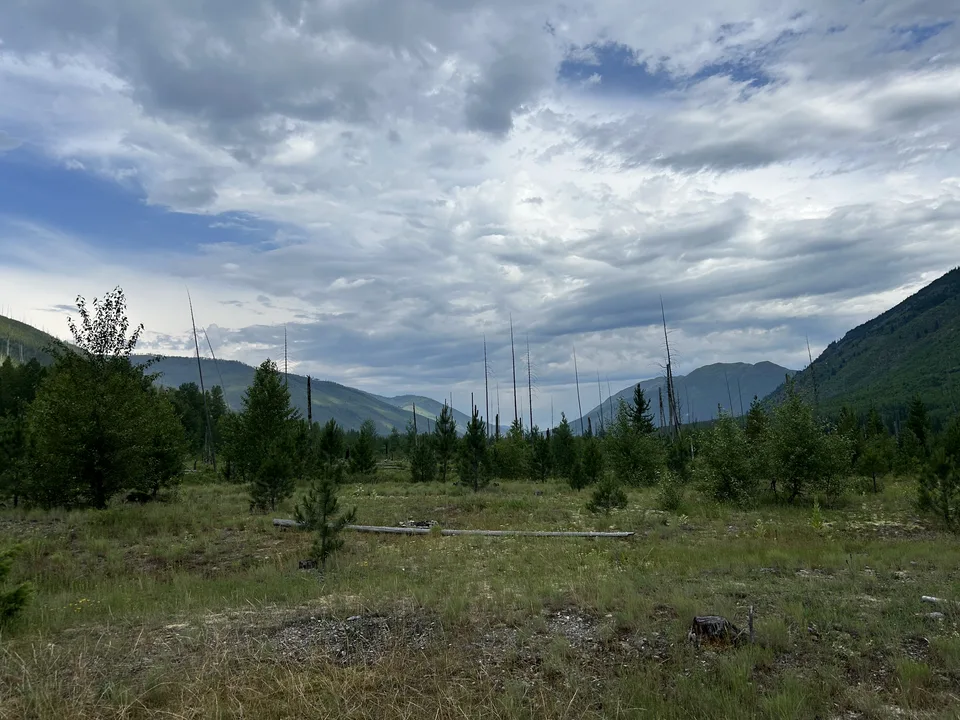 Flathead River — July 8, 2026