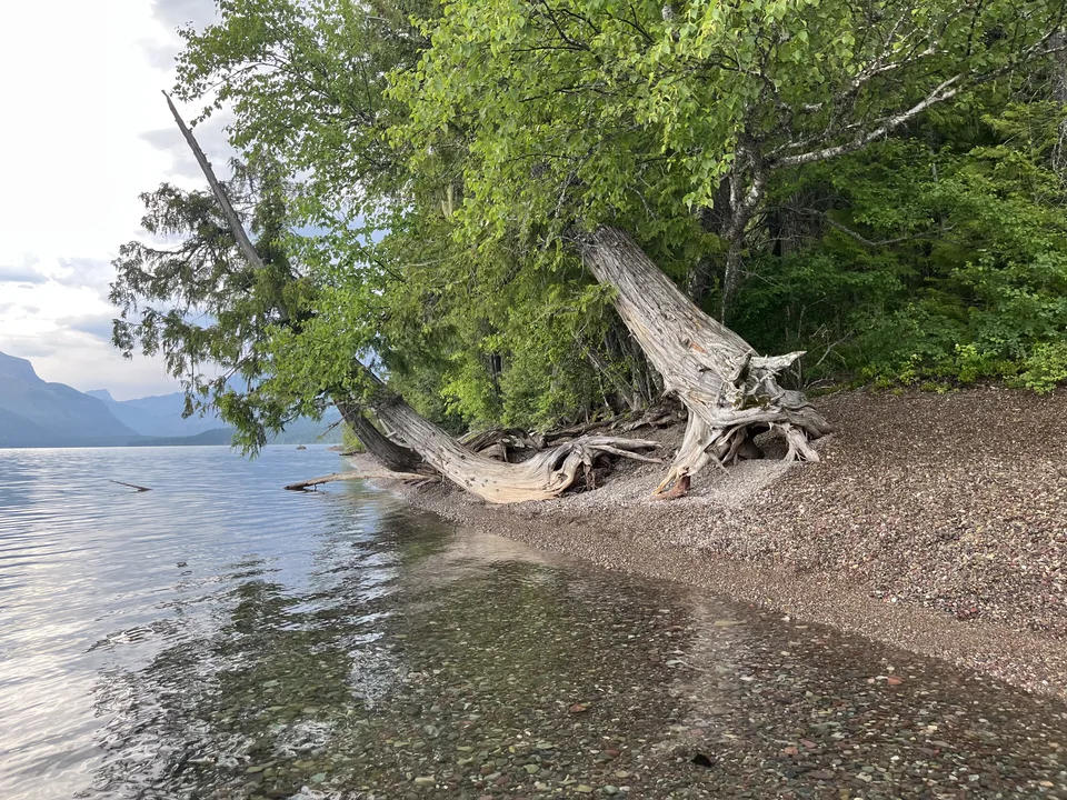 Lake McDonald, in Flathead County, Montana — July 8, 2026
