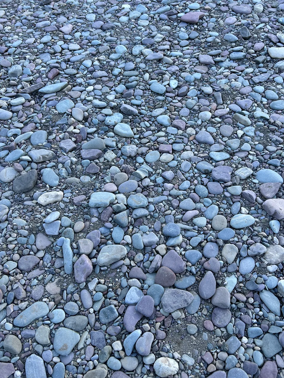 Flathead River, near Columbia Falls, Montana — July 8, 2026