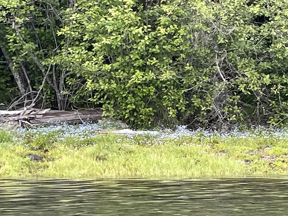 Lake McDonald, in Flathead County, Montana — July 8, 2026