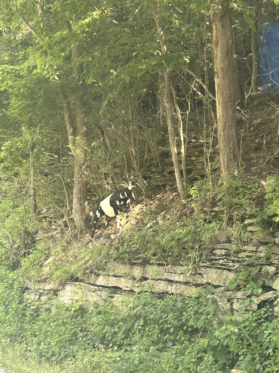 Near Frankfort, Kentucky — July 2, 2026