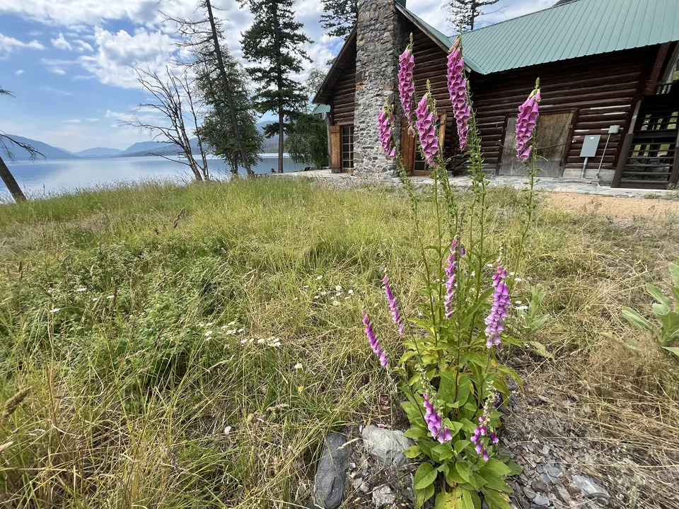 Lake McDonald, in Flathead County, Montana — July 8, 2026