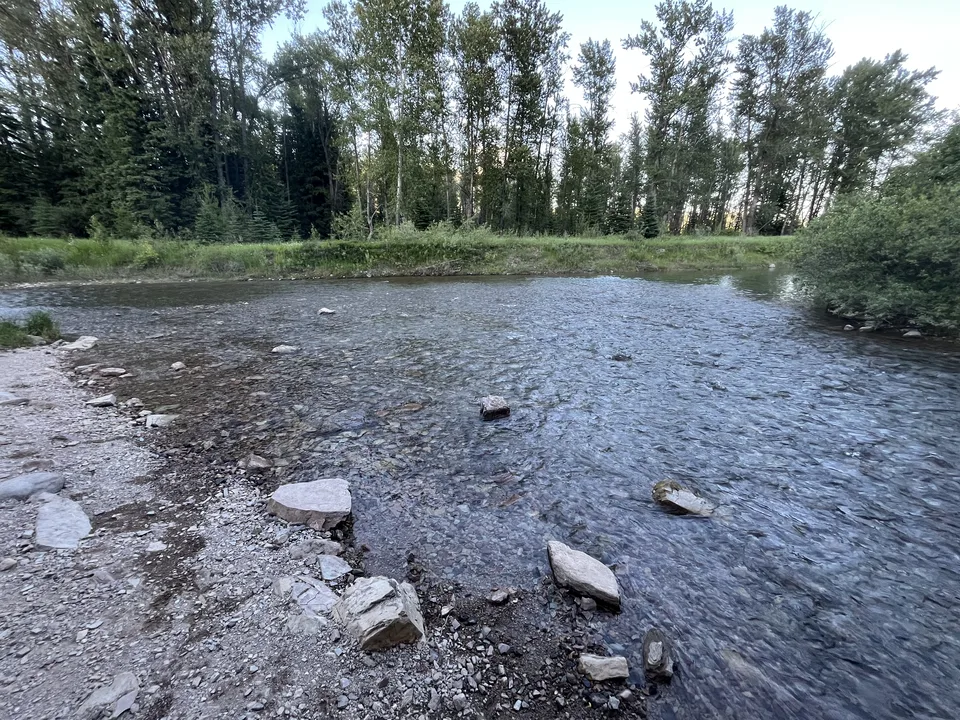 Flathead County, Montana — July 7, 2026