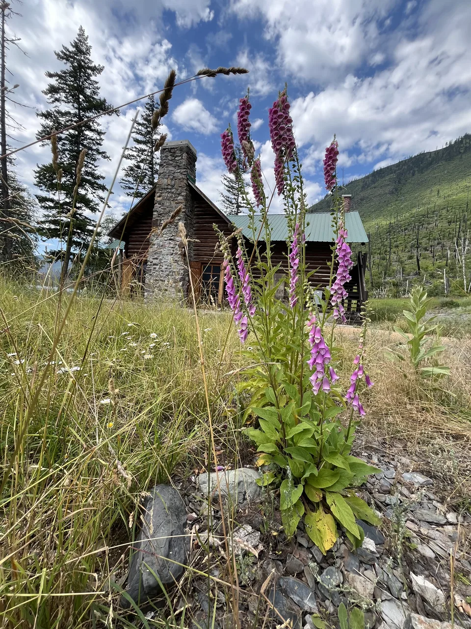 Lake McDonald, in Flathead County, Montana — July 8, 2026