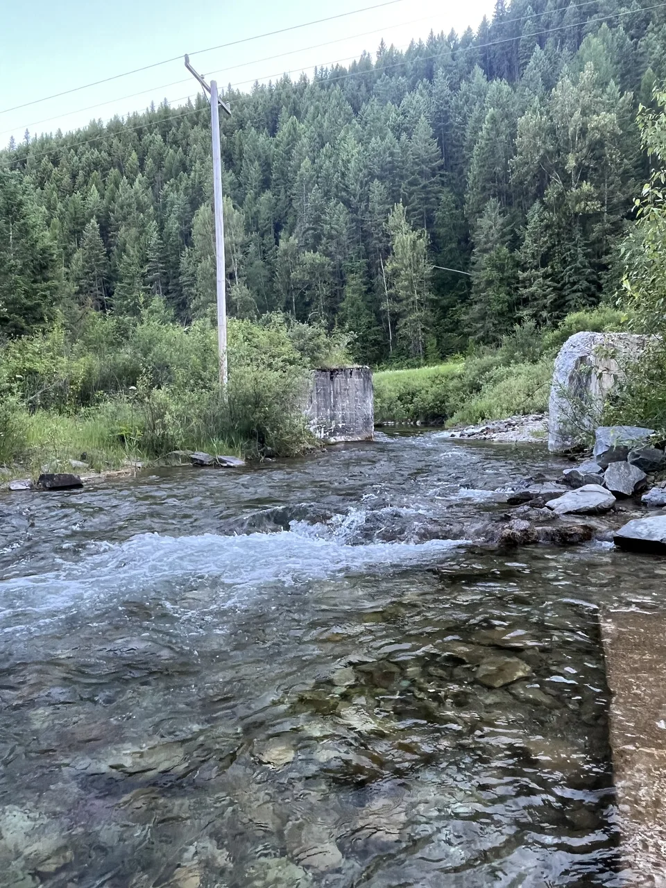 Flathead County, Montana — July 7, 2026